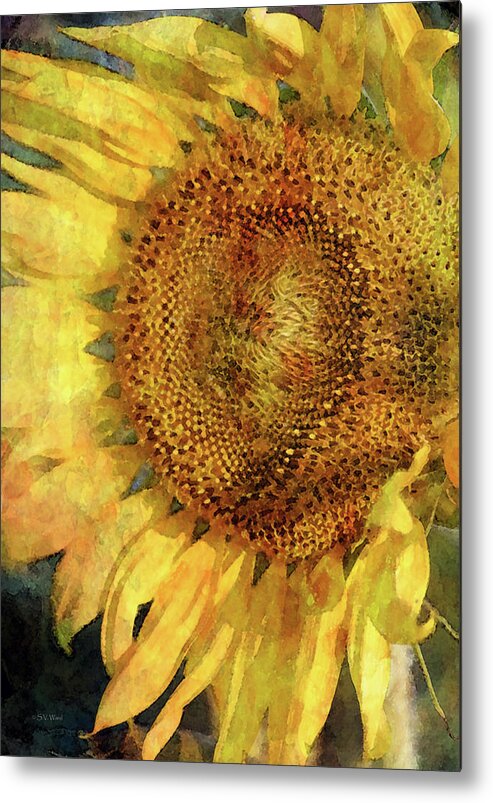 Sunflower Metal Print featuring the photograph Sunflower 2254 IDP_2 by Steven Ward