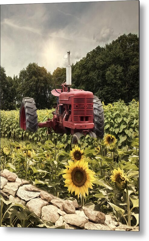 Tractor Metal Print featuring the photograph Sunny Acres by Robin-Lee Vieira