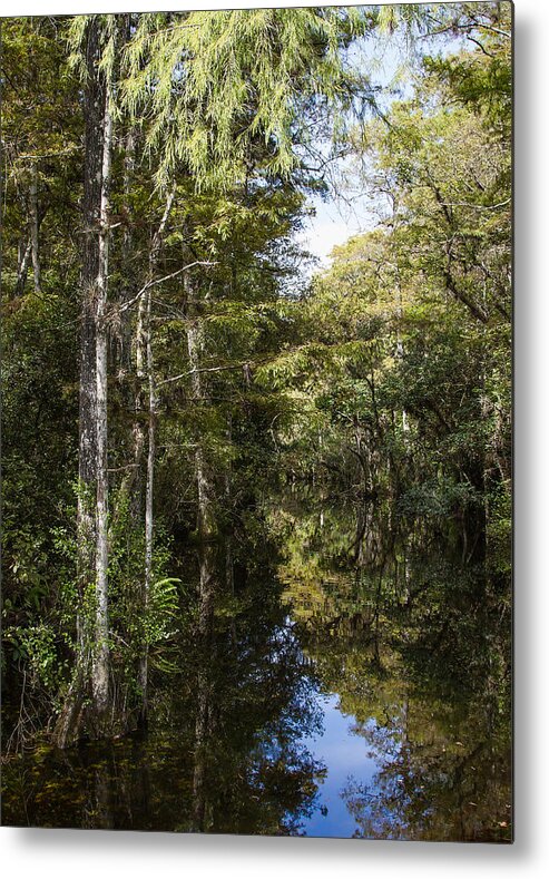 Everglades Metal Print featuring the photograph Sweetwater Strand - 10 by Rudy Umans