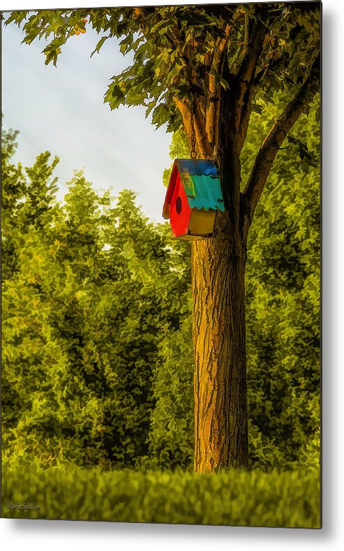 Bird House Metal Print featuring the photograph The Bird House by LeeAnn McLaneGoetz McLaneGoetzStudioLLCcom