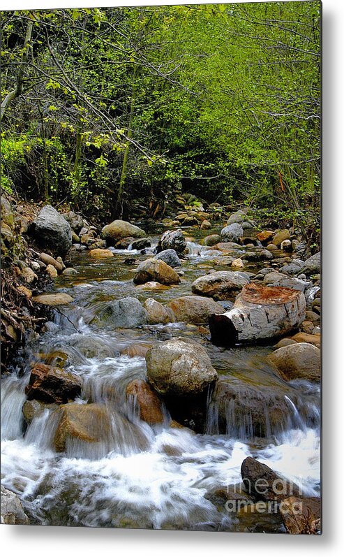 Creek Metal Print featuring the photograph The Creek by Marc Bittan