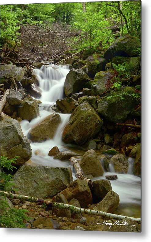 River Metal Print featuring the photograph The Forest Brook by Harry Moulton