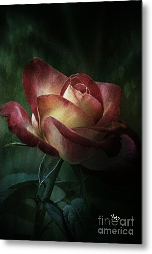 The Light Of Love Metal Print featuring the photograph The Light of Love by Maria Urso