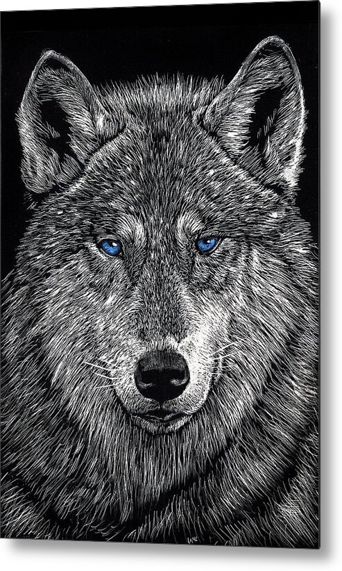 Drawing Metal Print featuring the drawing The Obligitory Wolf by William Underwood