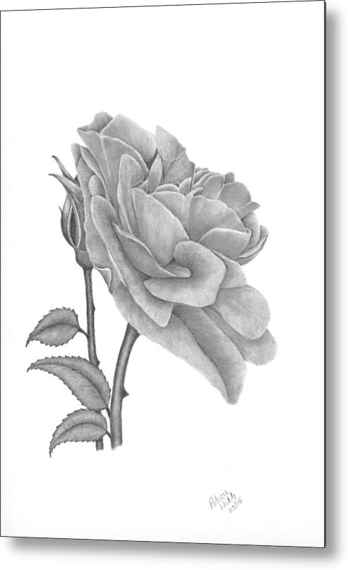 Roses Metal Print featuring the drawing The Timeless Beauty of Roses by Patricia Hiltz