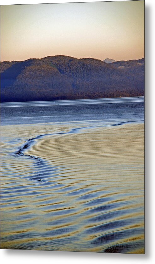 Wave Metal Print featuring the photograph The Waves by Carol Eliassen