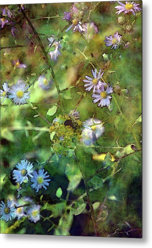 Impression Metal Print featuring the photograph The World Within 4276 IDP_2 by Steven Ward