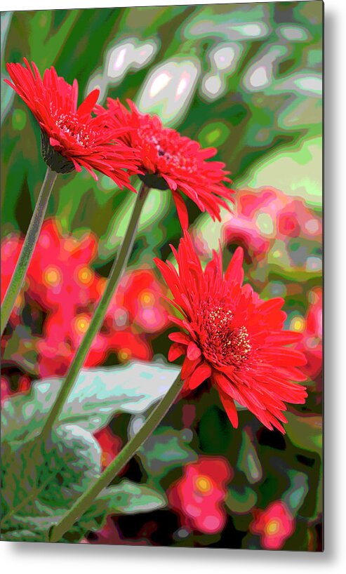 Photograph Metal Print featuring the photograph Three Red Gerberas Posterized by Suzanne Gaff