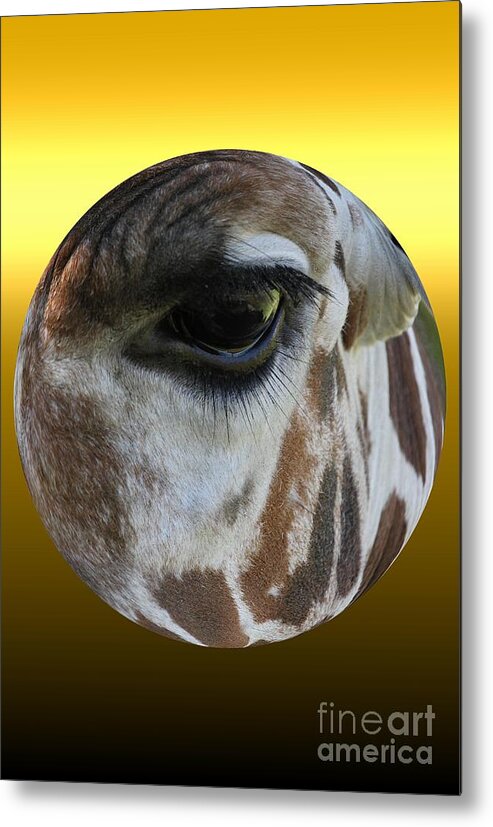Giraffe Metal Print featuring the photograph Through my Eyes by Rick Rauzi