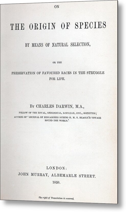 The Origin Of The Species Metal Print featuring the drawing Title Page of The Origin of Species by Charles Darwin by Charles Darwin
