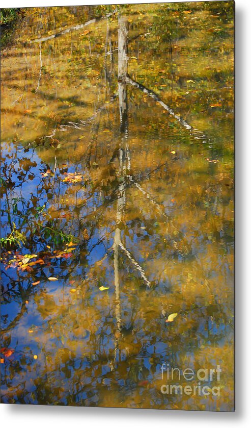 Tree Metal Print featuring the photograph Tree Reflections by Kerri Farley