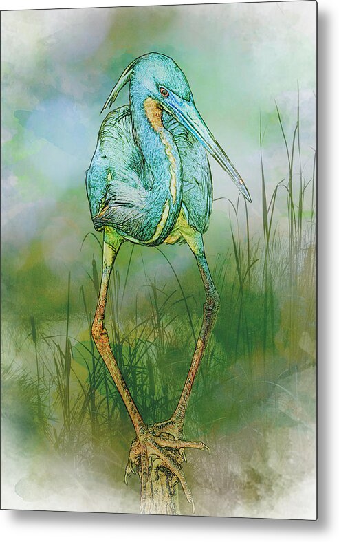 Bird Metal Print featuring the photograph Tri-Colored Heron Balancing Act - Colorized by Patti Deters
