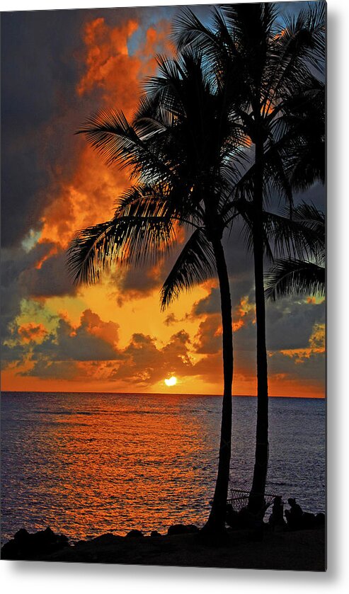 Paradise Metal Print featuring the photograph Tropical Nights by Lynn Bauer