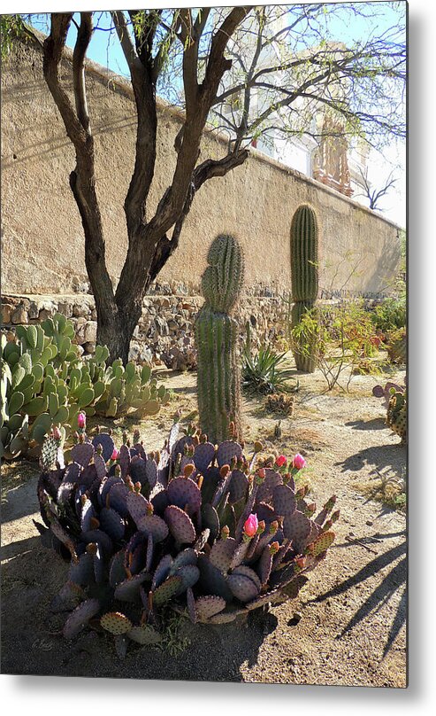 Blooms Metal Print featuring the photograph Tucson Morning by Gordon Beck