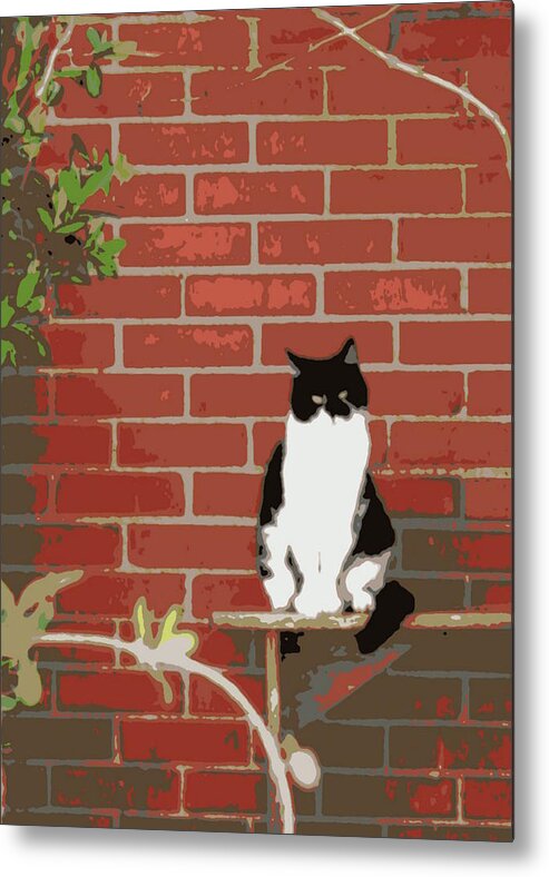Vertical Photo Metal Print featuring the photograph Tuxedo Cat on Bench by Valerie Collins