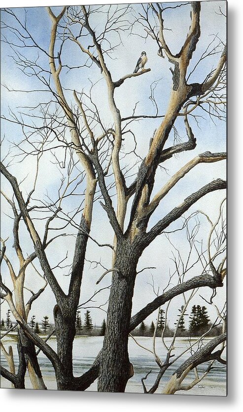 Tree Metal Print featuring the painting Untitled #1 by Conrad Mieschke