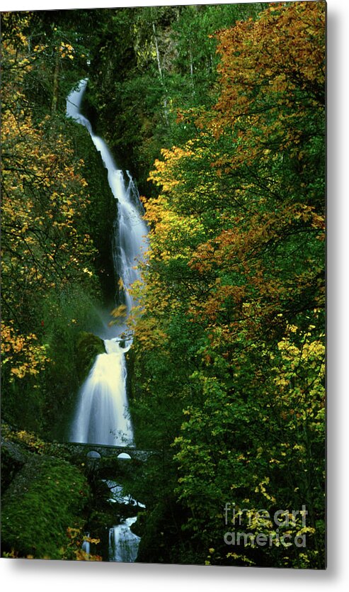 Images Metal Print featuring the photograph Wahkeena Falls waterfall by Rick Bures