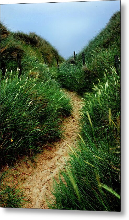 Beach Metal Print featuring the photograph Way Through The Dunes by Hannes Cmarits