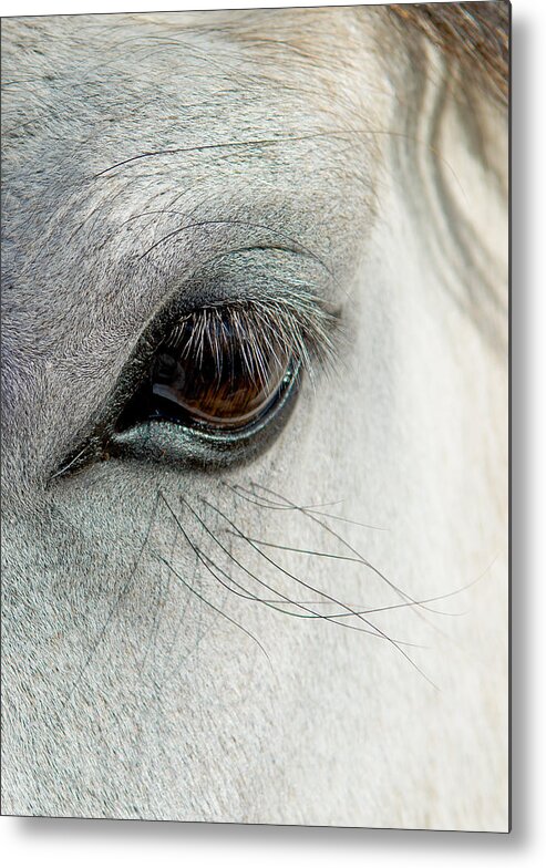 Horse Metal Print featuring the photograph White Horse Eye by Andreas Berthold