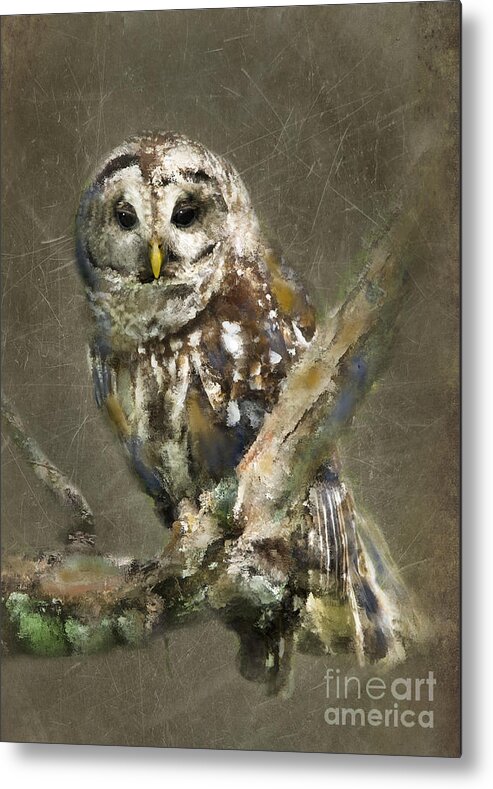 Barred Owl Metal Print featuring the photograph Whoooo by Betty LaRue