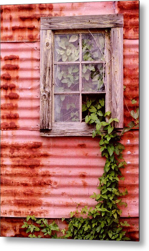 Window Metal Print featuring the photograph Window of Ivy by Andrew Giovinazzo