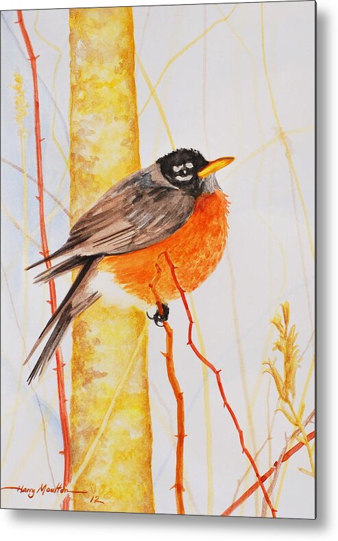 Animal Metal Print featuring the painting Winter Robin by Harry Moulton