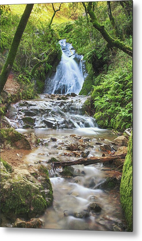 Waterfalls Metal Print featuring the photograph With All I Have by Laurie Search