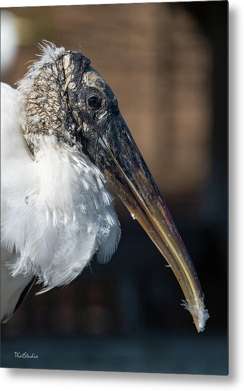 Wood Stork Metal Print featuring the photograph Wood Stork by Tim Kathka