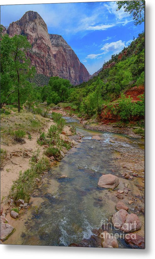 River Metal Print featuring the photograph Zion Virgin River by Barry Bohn