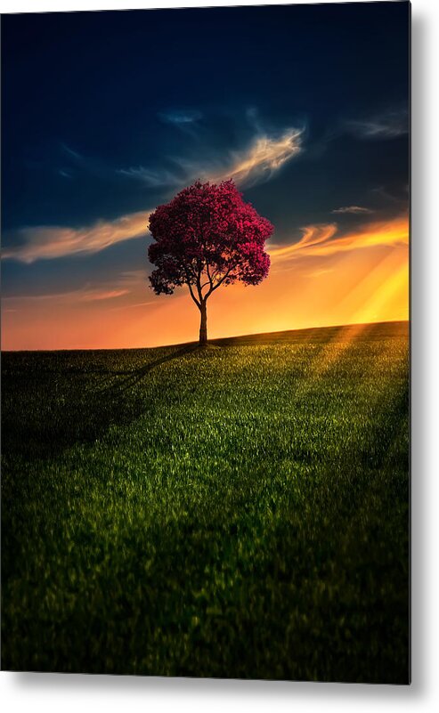 Autumn Metal Print featuring the photograph Awesome Solitude #1 by Bess Hamiti