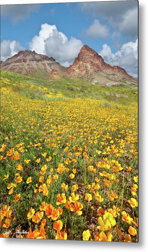 Arid Climate Metal Print featuring the photograph Boundary Cone Butte by Jeff Goulden