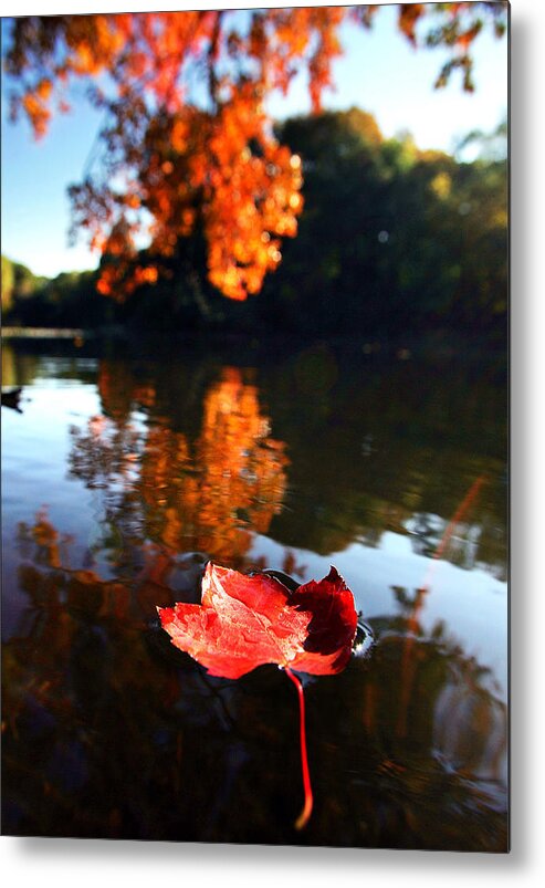 Vertical Metal Print featuring the photograph Fall Foliage Reaches Its Peak In #1 by New York Daily News Archive