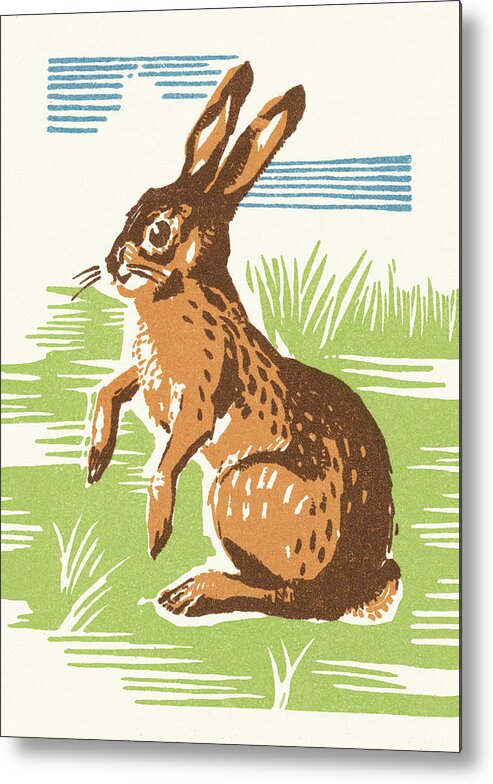 Animal Metal Poster featuring the drawing Rabbit #27 by CSA Images