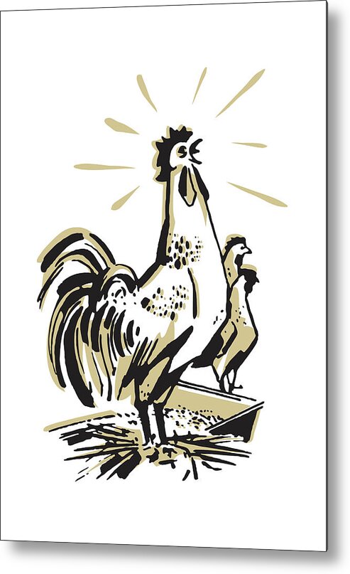 Agriculture Metal Print featuring the drawing Crowing Rooster #3 by CSA Images
