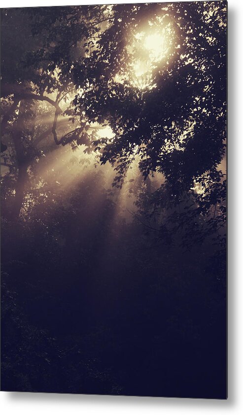 Sun Beams Metal Print featuring the photograph Angels Called Home by Michelle Wermuth