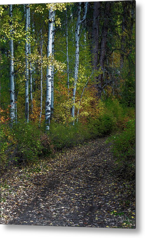 Best Of The Northwest Metal Print featuring the photograph Autumn Path by Greg Waddell