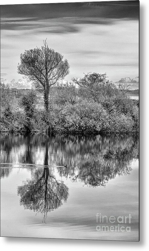 Autumn Metal Print featuring the photograph Autumn reflections by Jim Orr