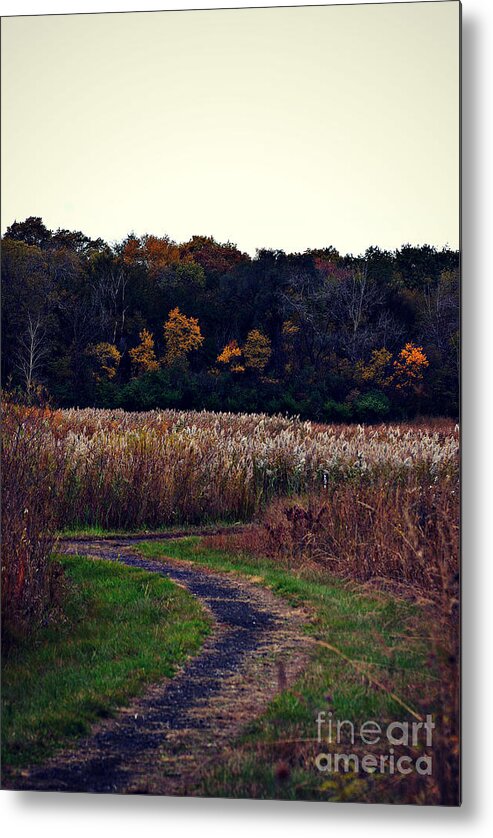 Landscape Metal Print featuring the photograph Autumn Wetlands by Frank J Casella