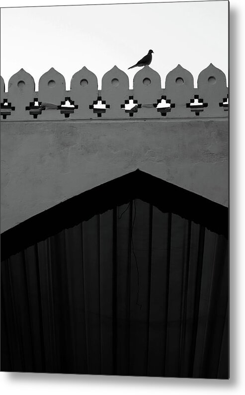Minimalism Metal Print featuring the photograph Birds and Patterned Side Rail Shot 1 by Prakash Ghai
