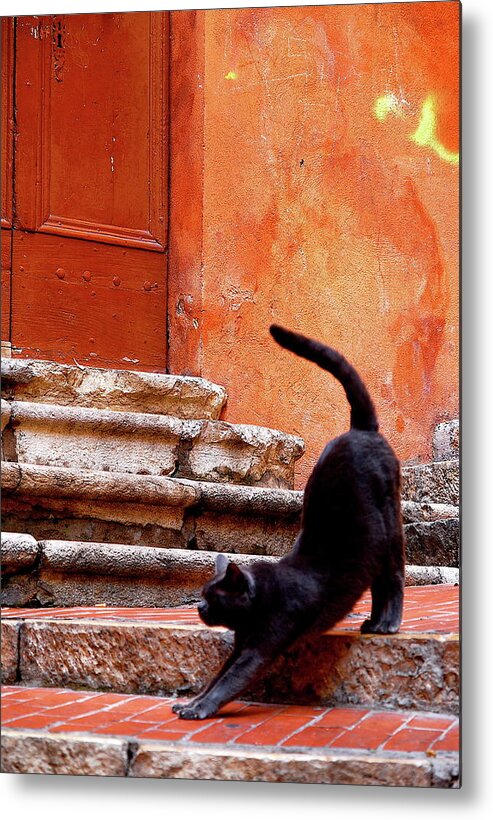 Steps Metal Print featuring the photograph Black Cat by Roy Cheung