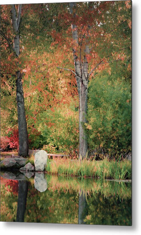 Autumn Colors Metal Print featuring the photograph By the Pond by Don Schwartz