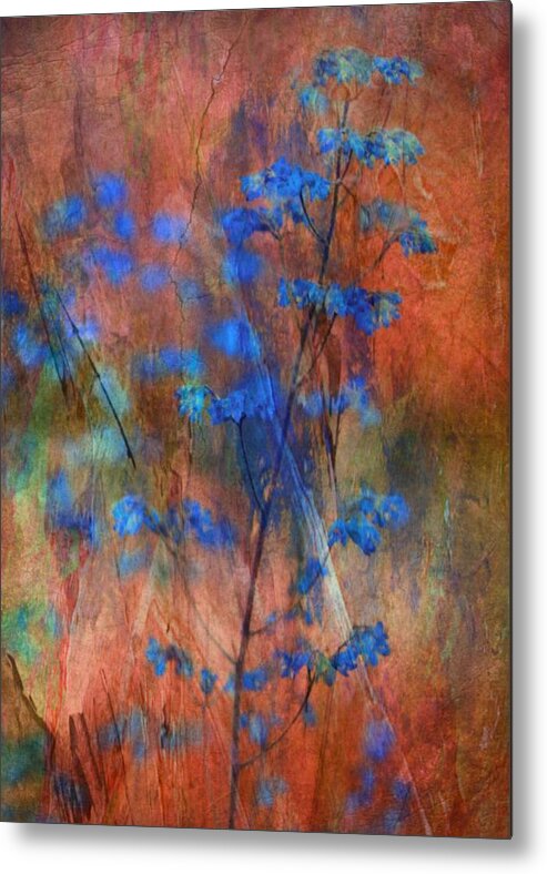 Creative Edit Metal Print featuring the photograph Colors Dance On Flowers by Delphine Devos