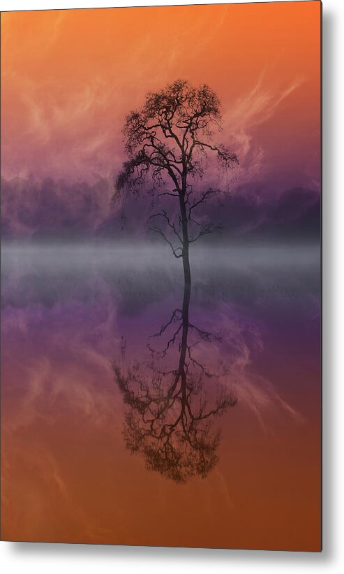 Tranquility Metal Print featuring the photograph Composited Image Of Tree And Reflection by Diane Miller
