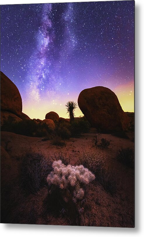 Cholla Metal Print featuring the photograph Deserted by Tassanee Angiolillo