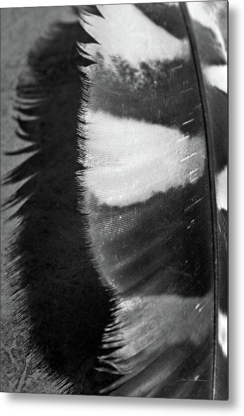 Birds Metal Print featuring the painting Feather Shadow IIi by Debra Van Swearingen