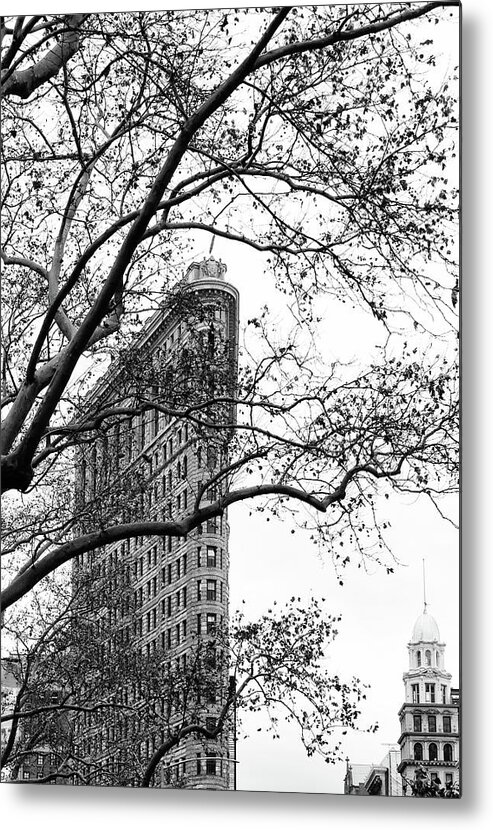 Flat Iron Metal Print featuring the photograph Flat Iron Through the Trees by Cate Franklyn