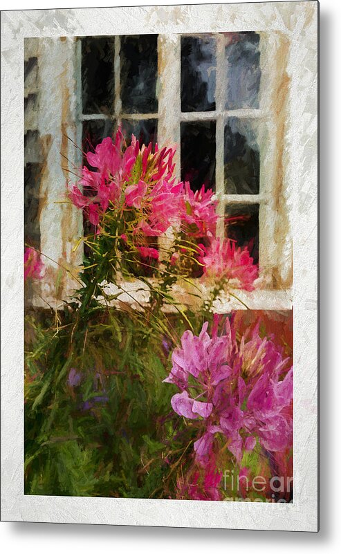 Flower Metal Print featuring the photograph Flower by the Window by JBK Photo Art