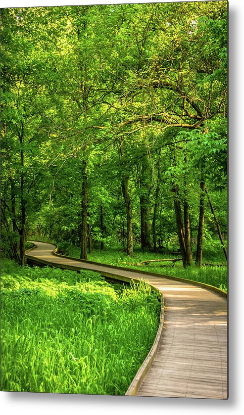 Boardwalk Metal Print featuring the photograph Forest Boardwalk by Tito Slack