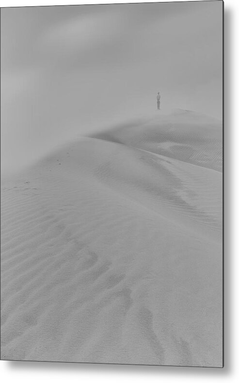 Sand Metal Print featuring the photograph Hi Man! by Shan Jiang