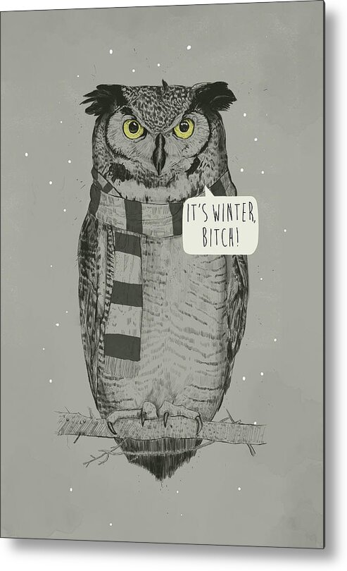 Owl Metal Print featuring the mixed media It's winter bitch by Balazs Solti
